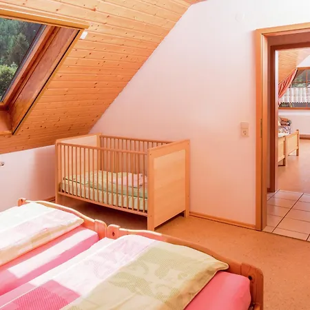 Gemuetliche Im Schwarzwald, Cleaning Included * Schuttertal