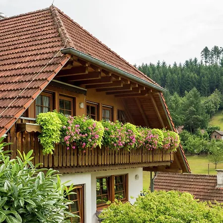 Gemuetliche Im Schwarzwald, Cleaning Included * Schuttertal