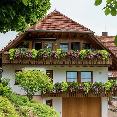 Gemuetliche Im Schwarzwald, Cleaning Included Casa vacanze Schuttertal