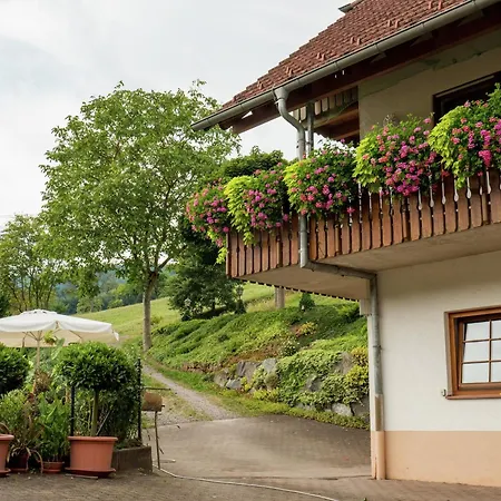 Gemuetliche Im Schwarzwald, Cleaning Included *