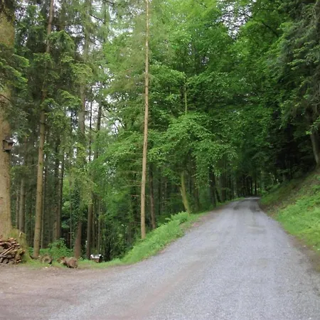 Gemuetliche Im Schwarzwald, Cleaning Included * Schuttertal