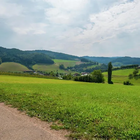 Gemuetliche Im Schwarzwald, Cleaning Included Casa vacanze Schuttertal