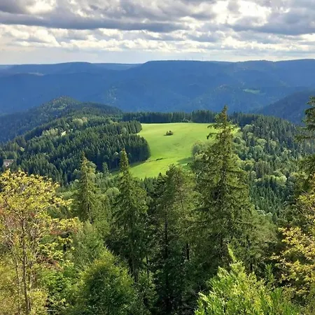 Gemuetliche Im Schwarzwald, Cleaning Included Casa vacanze *