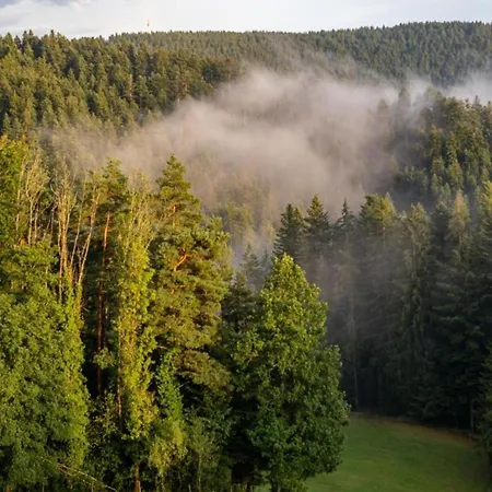 Gemuetliche Im Schwarzwald, Cleaning Included