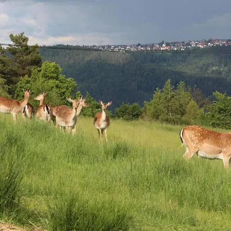 Gemuetliche Im Schwarzwald, Cleaning Included