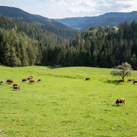Gemuetliche Im Schwarzwald, Cleaning Included *