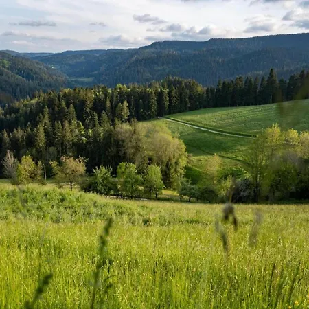 Gemuetliche Im Schwarzwald, Cleaning Included Casa vacanze