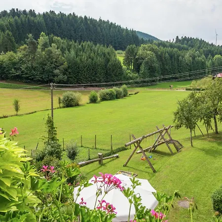 Gemuetliche Im Schwarzwald, Cleaning Included Casa vacanze Schuttertal
